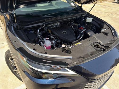 Mica 2023 Lexus RX 350 Base