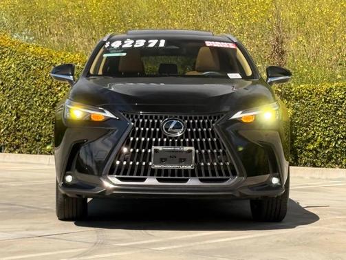 2024 Lexus NX 350 Premium