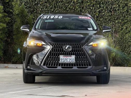2025 Lexus NX 350h Premium