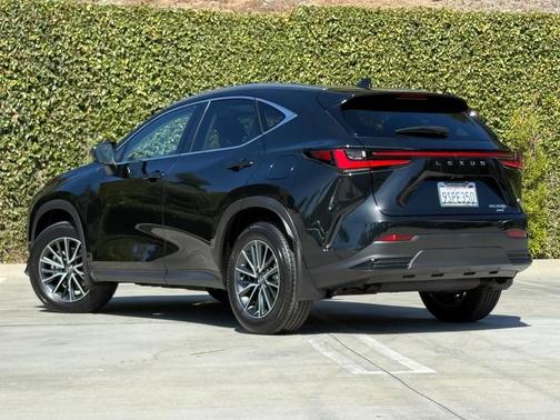 2025 Lexus NX 350h Premium
