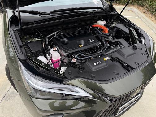 Nori Green Pearl 2024 Lexus NX 350h Premium