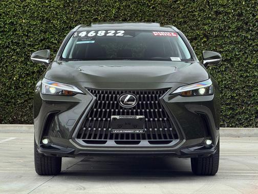 Nori Green Pearl 2024 Lexus NX 350h Premium