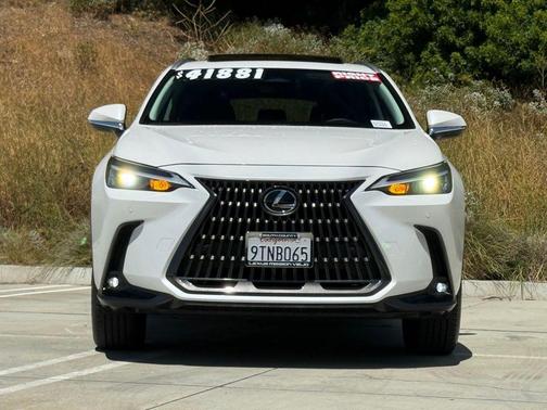 White Pearl 2025 Lexus NX 250 Premium
