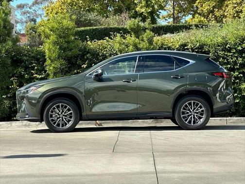 2025 Lexus NX 350h Premium