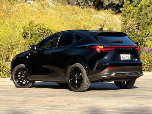 2024 Lexus NX 450h+ F SPORT Handling