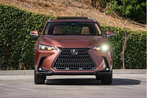 2025 Lexus NX 250 Base
