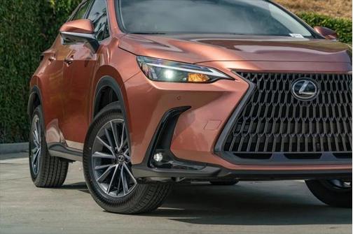 2025 Lexus NX 250 Base