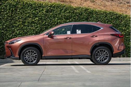 2025 Lexus NX 250 Base
