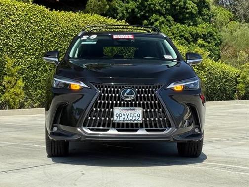 2025 Lexus NX 250 Base