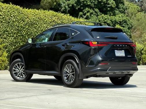 2025 Lexus NX 250 Base