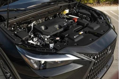 2025 Lexus NX 250 Base