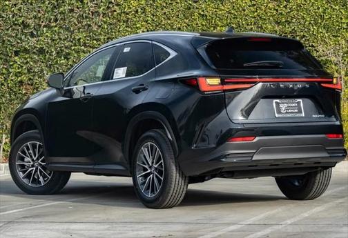 2025 Lexus NX 250 Base