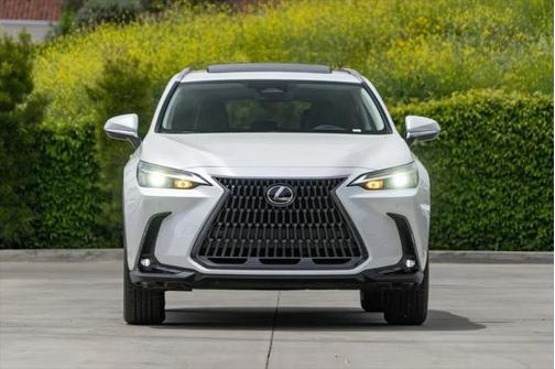 2025 Lexus NX 350h Premium