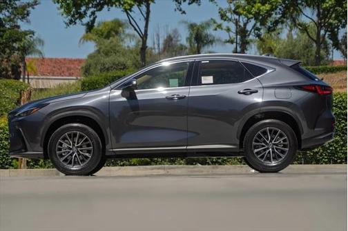 2025 Lexus NX 250 Premium