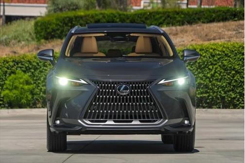 2025 Lexus NX 250 Premium