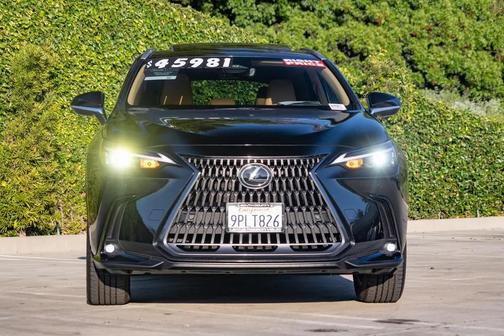 2025 Lexus NX 350 Premium