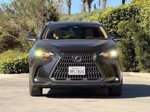 2025 Lexus NX 350 Premium