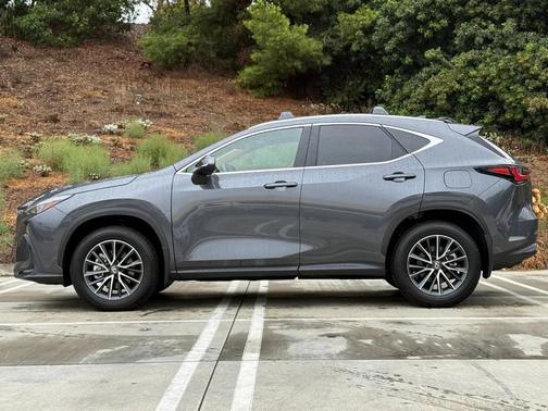 2025 Lexus NX 250 Base
