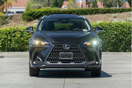 2025 Lexus NX 350h Premium