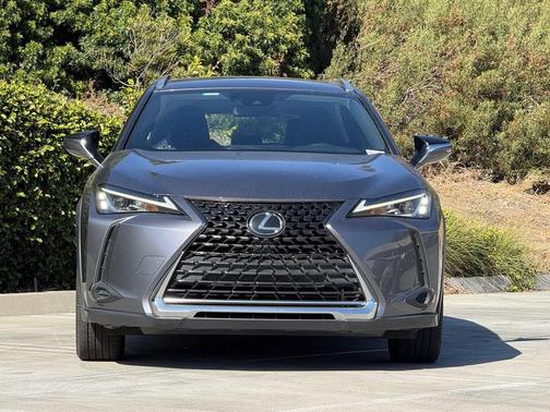 Gray Pearl 2019 Lexus UX 200 Base