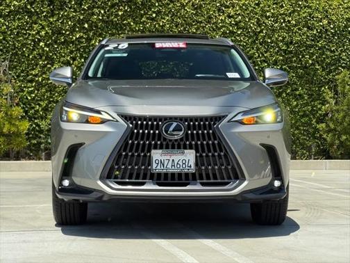 2025 Lexus NX 250 Base