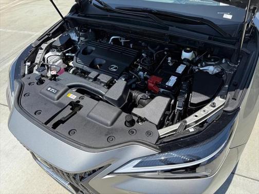 2025 Lexus NX 250 Base