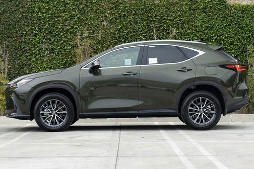 Nori Green Pearl 2026 Lexus NX 350 Premium