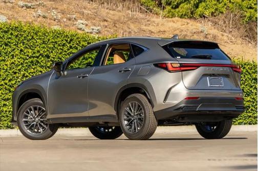 2025 Lexus NX 250 Premium