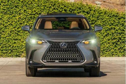 2025 Lexus NX 250 Premium