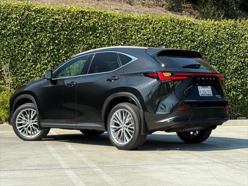 2024 Lexus NX 350 Luxury