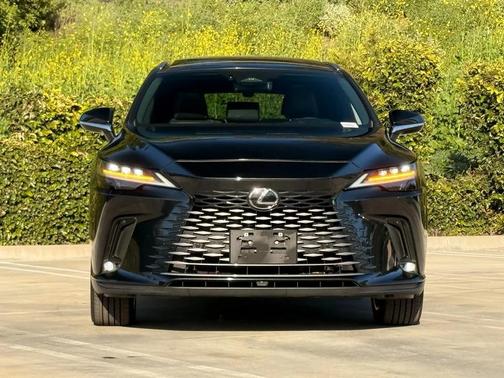 2023 Lexus RX 350 Luxury