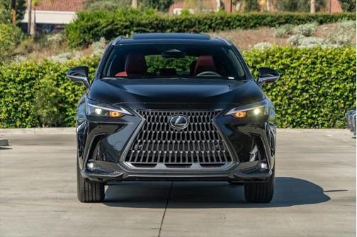 2025 Lexus NX 350h Premium
