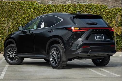 2025 Lexus NX 250 Base