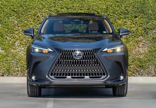2025 Lexus NX 350h Premium