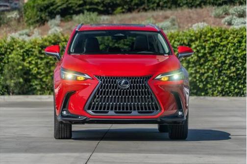 2025 Lexus NX 350h Premium