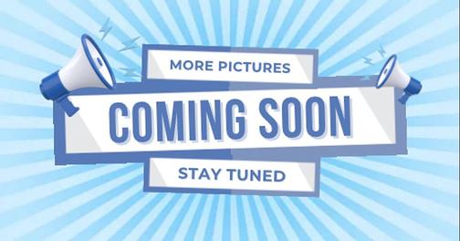 2013 Chrysler Town & Country Touring-L