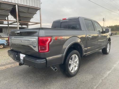 2015 Ford F-150 Platinum