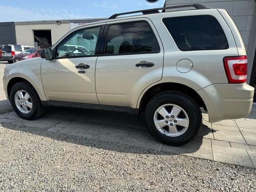 2010 Ford Escape XLT