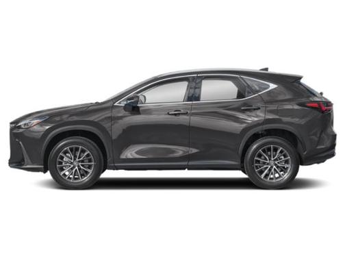 Cloudburst Gray 2024 Lexus NX 250 Premium