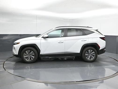 White Pearl 2024 Hyundai TUCSON Hybrid Blue