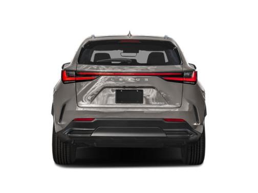 Cloudburst Gray 2023 Lexus NX 250 Premium