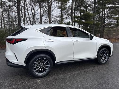 2025 Lexus NX 250 Base
