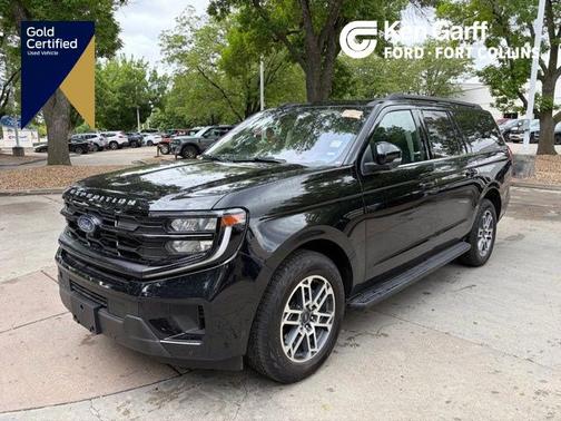 AGATE BLACK METALLIC 2025 Ford Expedition ACTIVE