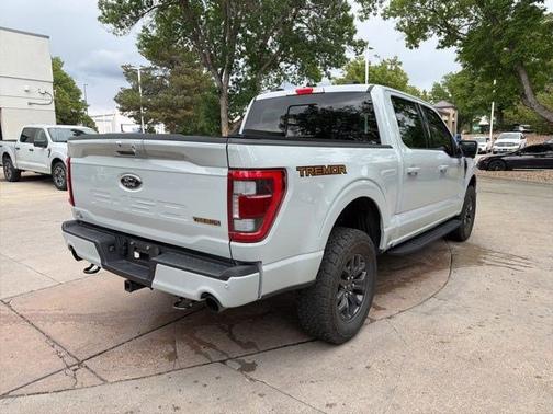 AVALANCHE 2023 Ford F-150 TREMOR