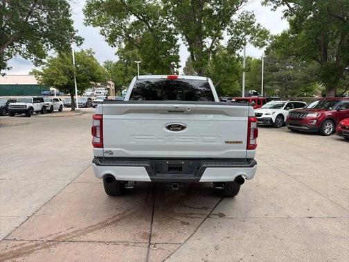 AVALANCHE 2023 Ford F-150 TREMOR