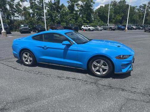 2022 Ford Mustang EcoBoost