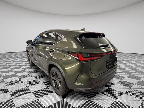 2025 Lexus NX 450h+ Luxury