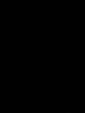 2017 Lexus RX 350 F Sport