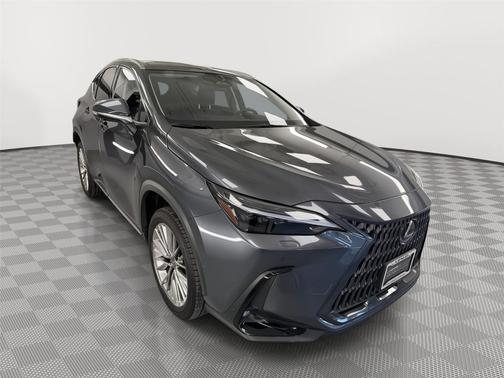 Cloudburst Gray 2024 Lexus NX 350h Luxury