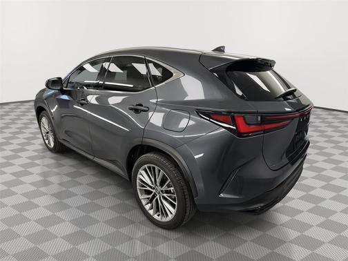 Cloudburst Gray 2024 Lexus NX 350h Luxury